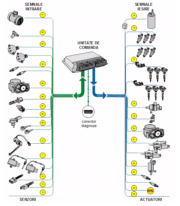 Text Box: 
Schema semnalelor pentru un sistem de control Bosch ME 7.1
